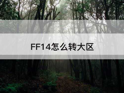 FF14怎么转大区