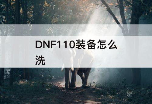 DNF110装备怎么洗