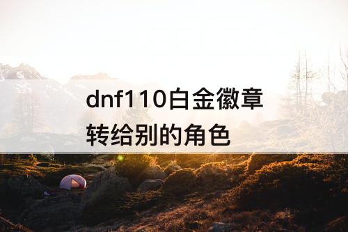 dnf110白金徽章转给别的角色