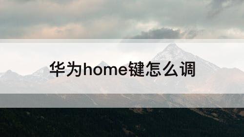 华为home键怎么调
