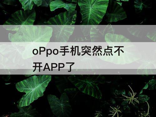oPpo手机突然点不开APP了