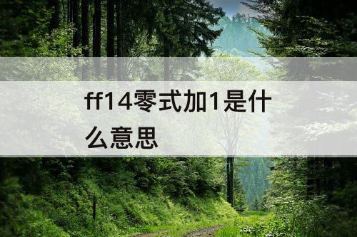 ff14零式加1是什么意思