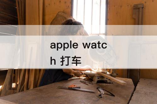 apple watch 打车