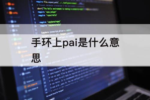手环上pai是什么意思