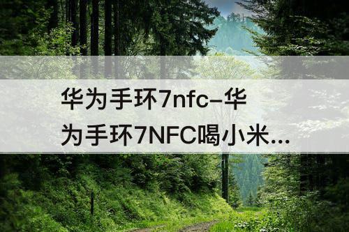 华为手环7nfc-华为手环7NFC喝小米手环7nfc