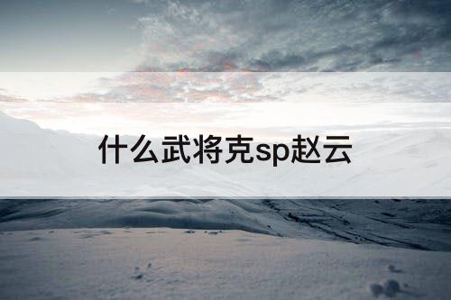 什么武将克sp赵云
