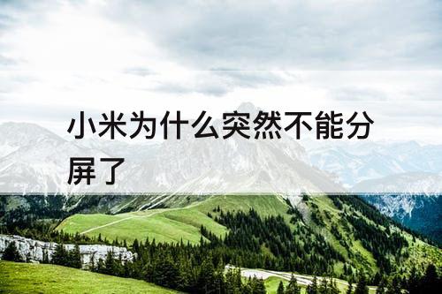 小米为什么突然不能分屏了