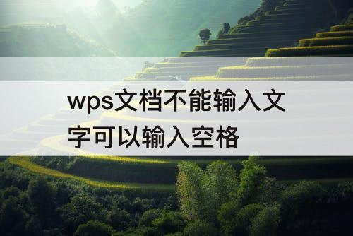 wps文档不能输入文字可以输入空格