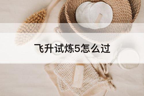 飞升试炼5怎么过