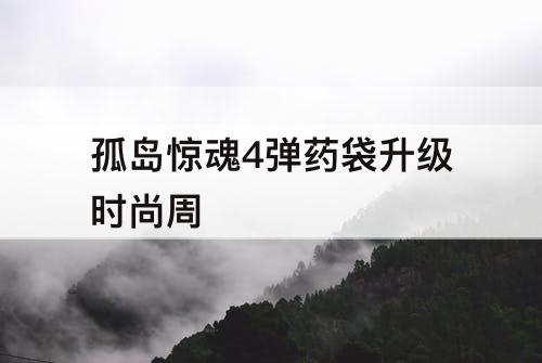 孤岛惊魂4弹药袋升级时尚周
