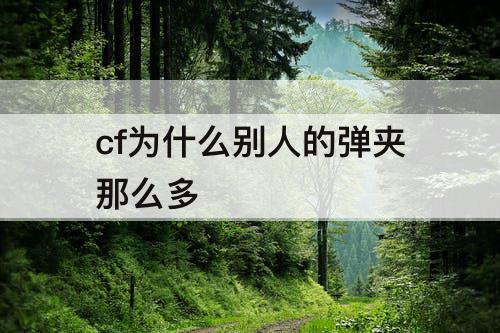 cf为什么别人的弹夹那么多