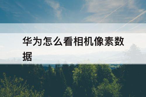 华为怎么看相机像素数据