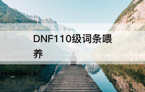 DNF110级词条喂养