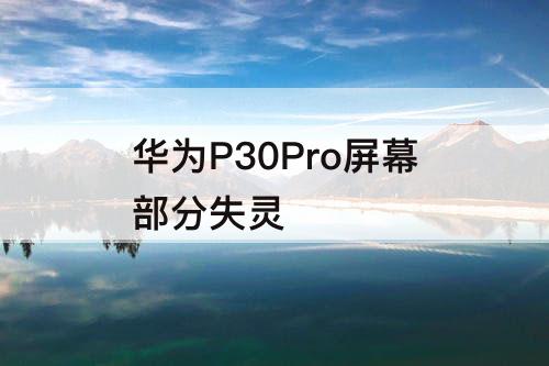 华为P30Pro屏幕部分失灵