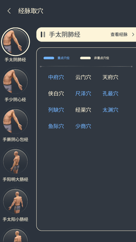 经脉宝截图