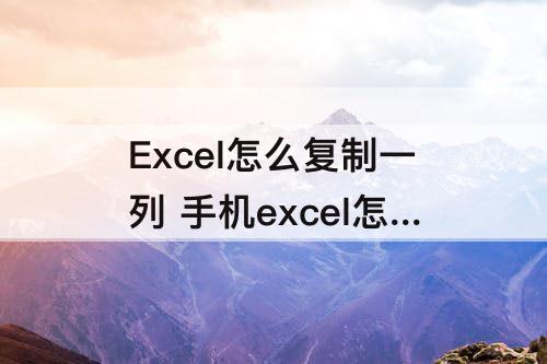 Excel怎么复制一列 手机excel怎么复制一列数据