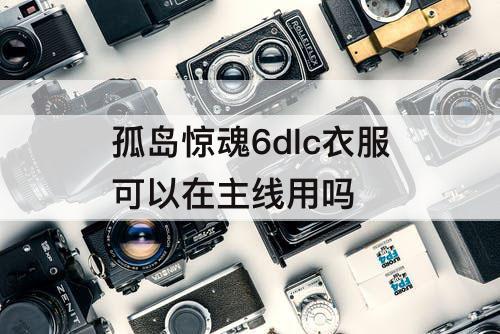 孤岛惊魂6dlc衣服可以在主线用吗