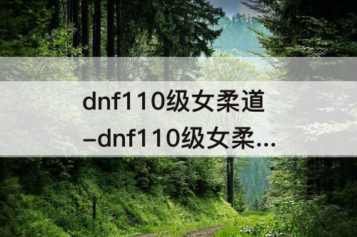 dnf110级女柔道-dnf110级女柔道武器