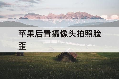 苹果后置摄像头拍照脸歪