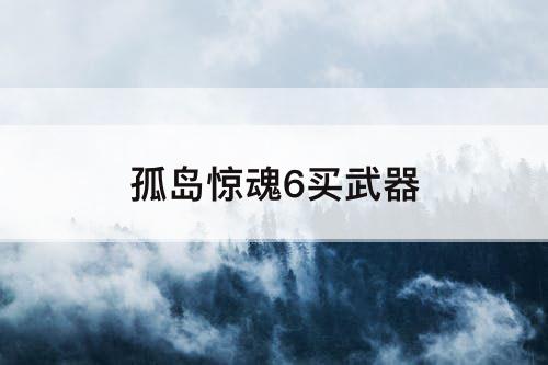 孤岛惊魂6买武器
