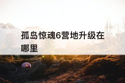 孤岛惊魂6营地升级在哪里