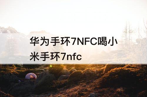 华为手环7NFC喝小米手环7nfc