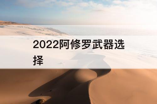 2022阿修罗武器选择