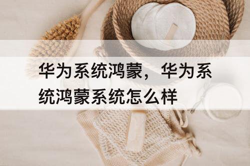 华为系统鸿蒙，华为系统鸿蒙系统怎么样