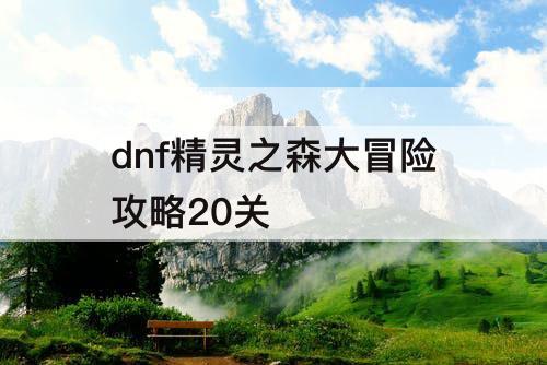 dnf精灵之森大冒险攻略20关