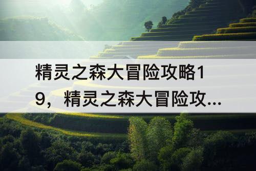 精灵之森大冒险攻略19，精灵之森大冒险攻略19奖励