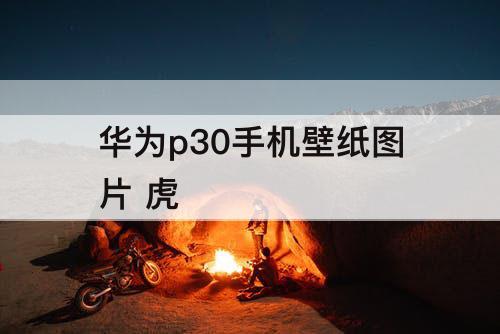 华为p30手机壁纸图片 虎