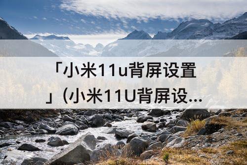 「小米11u背屏设置」(小米11U背屏设置音乐播放模式)