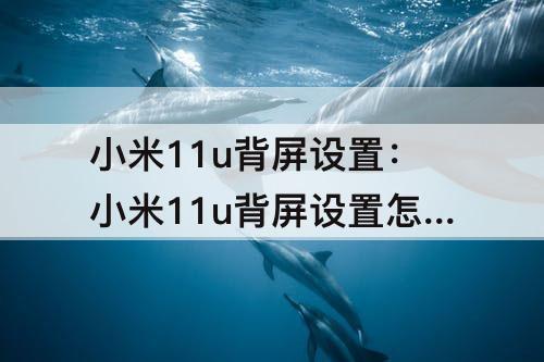 小米11u背屏设置：小米11u背屏设置怎么没有镜像