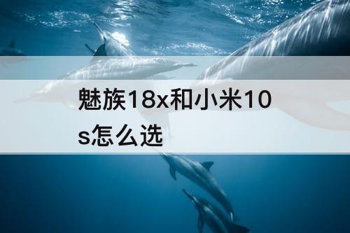 魅族18x和小米10s怎么选
