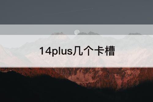 14plus几个卡槽