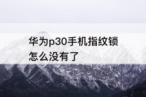 华为p30手机指纹锁怎么没有了
