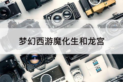 梦幻西游魔化生和龙宫