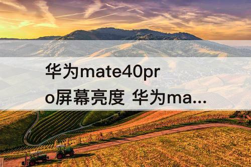 华为mate40pro屏幕亮度 华为mate40pro屏幕亮度自动调节