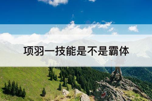 项羽一技能是不是霸体