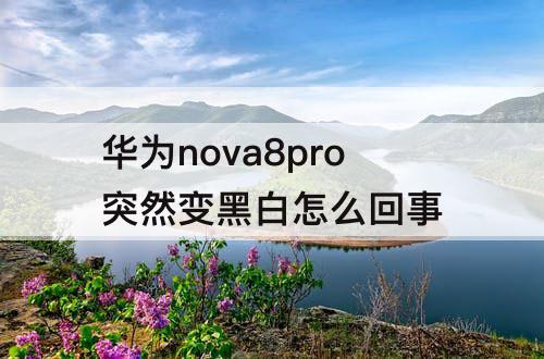 华为nova8pro突然变黑白怎么回事