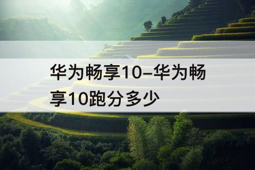华为畅享10-华为畅享10跑分多少