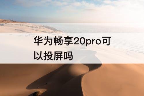 华为畅享20pro可以投屏吗