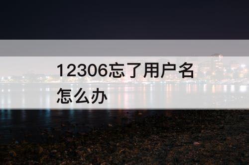 12306忘了用户名怎么办