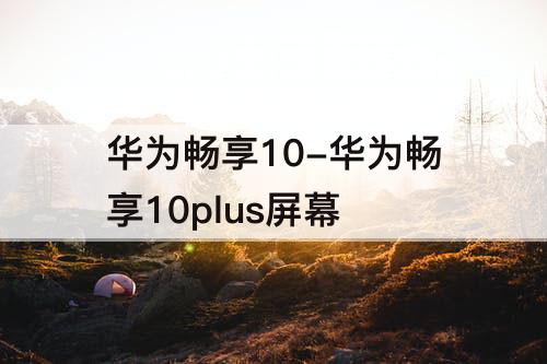 华为畅享10-华为畅享10plus屏幕