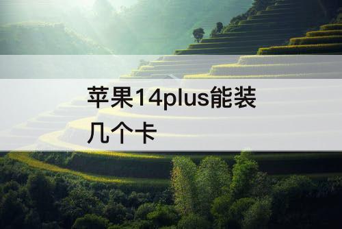 苹果14plus能装几个卡