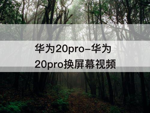 华为20pro-华为20pro换屏幕视频