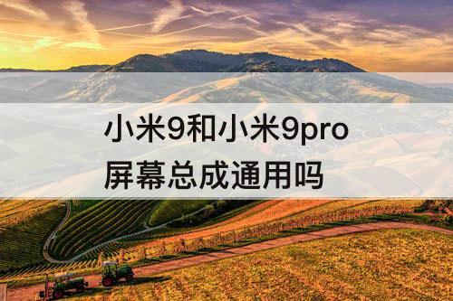 小米9和小米9pro屏幕总成通用吗