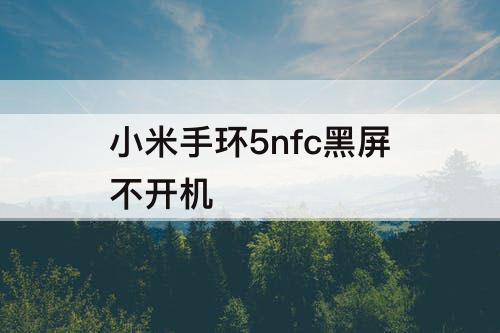 小米手环5nfc黑屏不开机