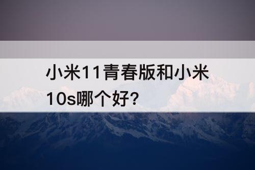 小米11青春版和小米10s哪个好?