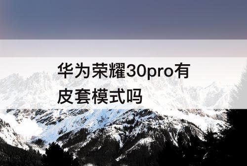 华为荣耀30pro有皮套模式吗